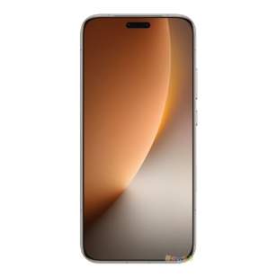 Honor Magic8 Pro 12/256Gb (международная версия)